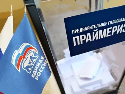 На предварительное голосование партии «Единая Россия» в ЕАО зарегистрировано 608 кандидатов