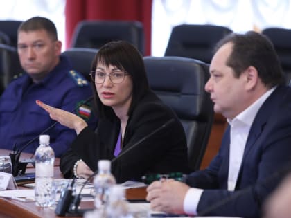 Высокий уровень поддержки бизнеса в ЕАО отметили эксперты