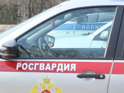 По горячим следам задержали грабителя росгвардейцы в Биробиджане