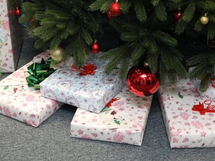 Новогодний опрос провели среди жителей ЕАО