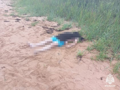 Три человека за один день утонули на пляжах Ливадии в Приморье