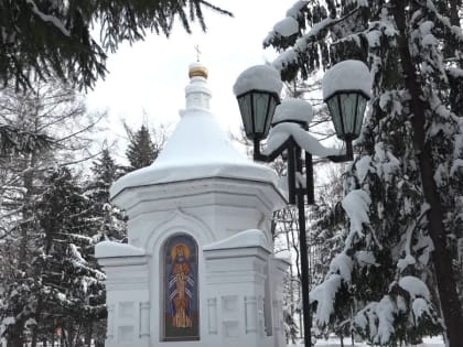 Морозно будет в ЕАО – прогноз погоды на 15 декабря