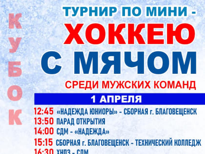 Сильнейшую команду в мини-хоккее выявит турнир в Биробиджане