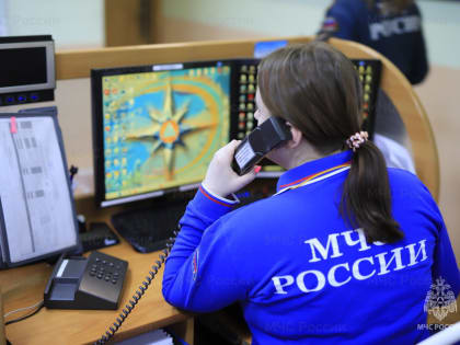 267 звонков принято спасателями ЕАО по телефону 112 за первый месяц года