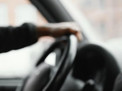 Купить автомобиль с 25% скидкой смогут семьи с детьми из ЕАО