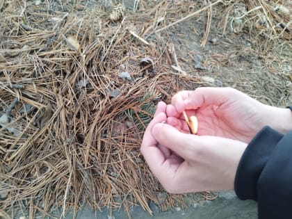 С начала пожароопасного сезона 75 жителей ЕАО привлечены к ответственности за нарушения требований пожарной безопасности