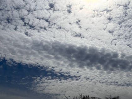 Небольшой дождь ожидает автономию – прогноз погоды в ЕАО на 12 мая