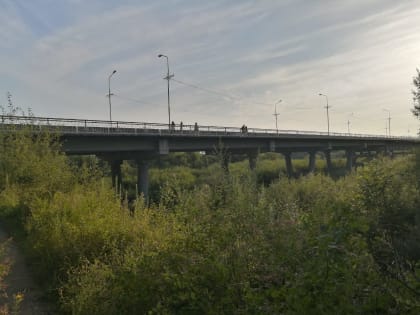 Прогноз погоды в ЕАО на неделю с 5 по 11 августа