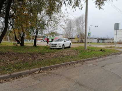 "Приглядывать" за автохамами продолжают бдительные биробиджанцы
