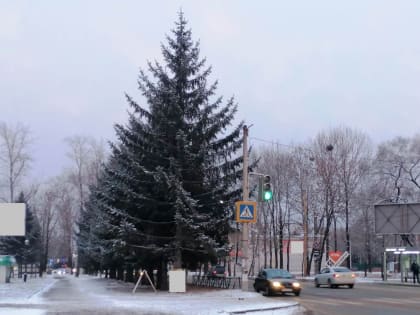Прогноз погоды в автономии на сегодня