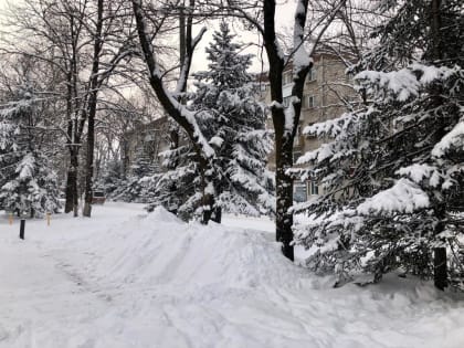 Птицы на лету замерзают: крепкие морозы стояли на Руси в Трифонов день – 28 декабря