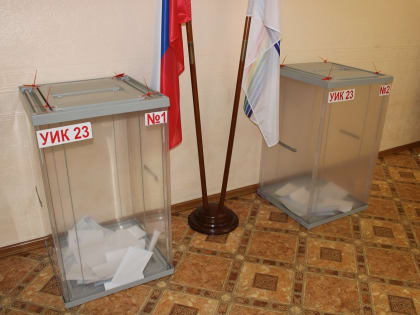 Выборы президента России должны быть надежно защищены от внешнего вмешательства – член ОП ЕАО Константин Земляникин