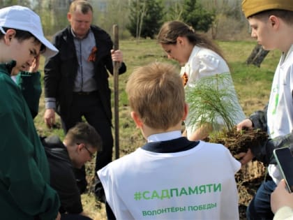 Более 4 тысяч деревьев высадили участники международной акции "Сад памяти" в ЕАО