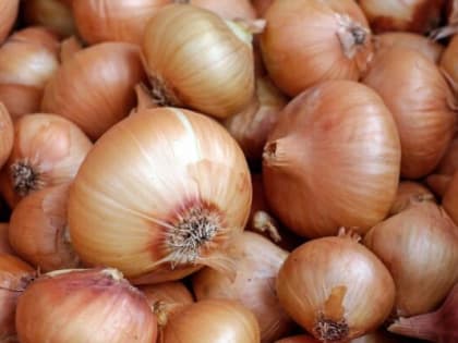 В России на треть подорожал репчатый лук