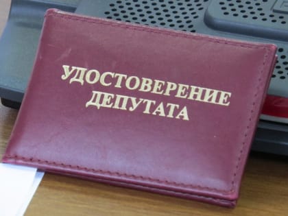 Анализ выборов в Биробиджане: что показали результаты
