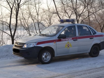 Находящегося в федеральном розыске мужчину задержали росгвардейцы Биробиджана