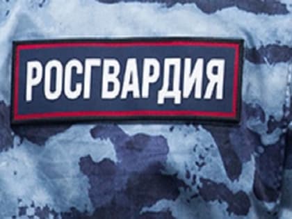 Уничтожить наркотики при виде бойцов Росгвардии пытался житель Биробиджана