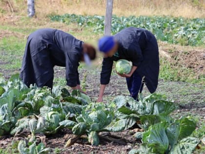 В Биробиджане прошел день здоровья