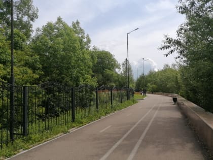 Без осадков пройдёт день в автономии – прогноз погоды в ЕАО на 6 июня