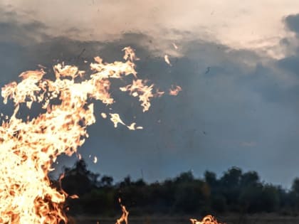 Качество воздуха в ЕАО проверено специалистами Роспотребнадзора