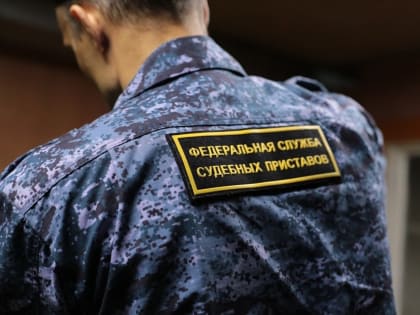 Пьяный гражданин пытался проникнуть на заседание суда в ЕАО