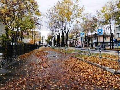 Прогноз погоды на сегодня в Биробиджане