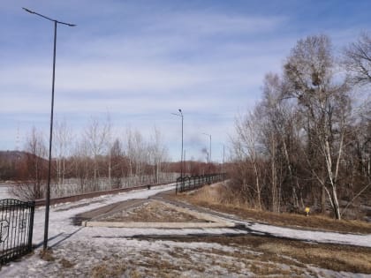 С пасмурной погоды начнётся рабочая неделя в автономии – прогноз погоды в ЕАО на 1 апреля