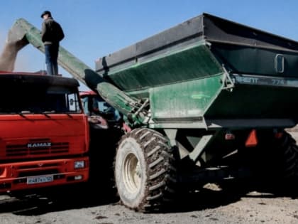 Экспорт российской сельхозпродукции вырос в 2,1 раза с 2014 года