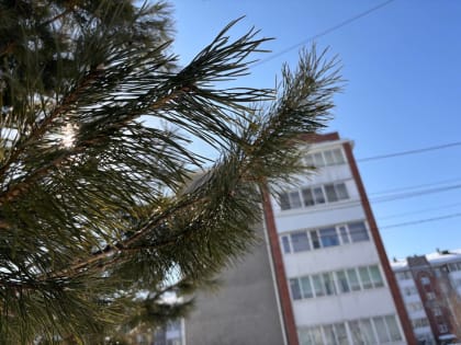 В районах области ожидается солнечная погода – прогноз погоды в ЕАО на 5 марта