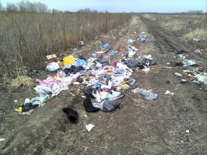 Сельскохозяйственный участок в ЕАО превратили в свалку