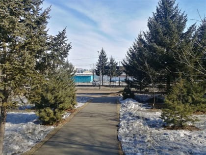 Солнечная погода придёт в районы автономии – прогноз погоды в ЕАО на 24 марта