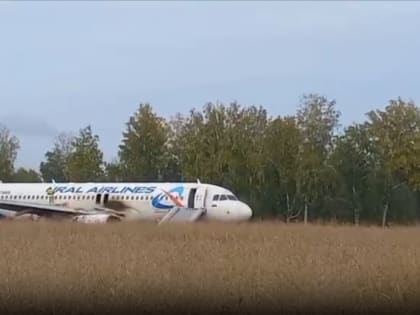 Стала известна причина экстренной посадки самолета в Новосибирской области