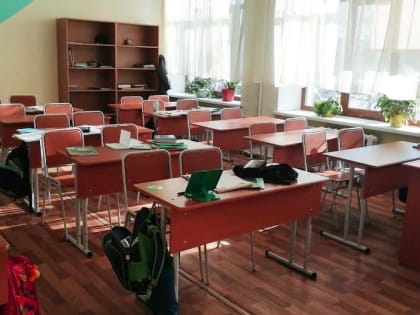 Карантин введён в 27-ми классах биробиджанских школ в связи с заболеванием гриппом и ОРВИ — Роспотребнадзор