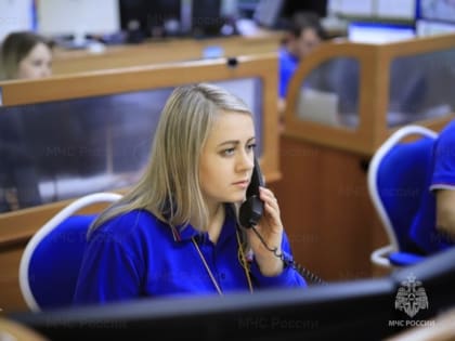 С начала года поступило 25 обращений на «Телефон доверия» МЧС России по ЕАО