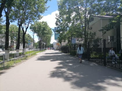 Солнечным будет начало новой недели в ЕАО