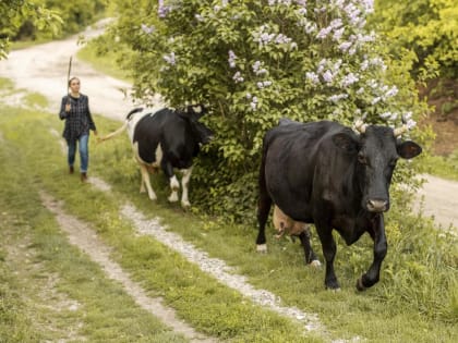 За неправильную утилизацию продуктов жизнедеятельности животных владельцев будут наказывать