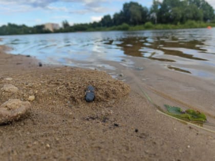 Провести август удачно поможет точное гадание по картинкам