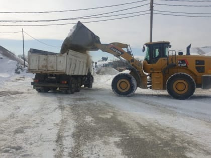 Первую машину с щебнем отвезли на территорию приюта для бездомных животных в Биробиджане
