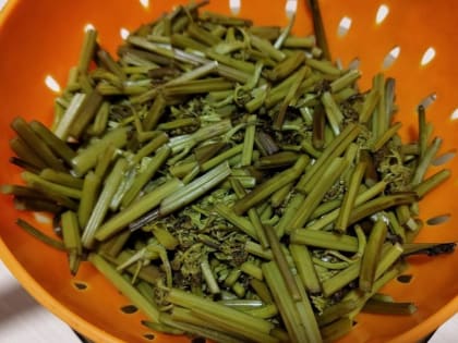 Простой рецепт очень вкусного папоротника