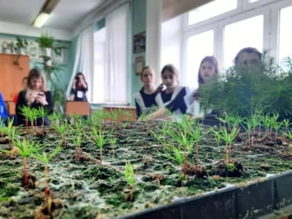 Первый детский АгроФорум прошел в Биробиджанском районе