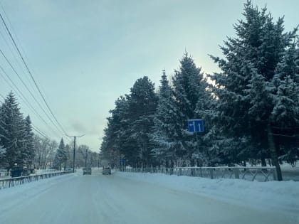 Пасмурный день ожидается в ЕАО – прогноз погоды на 21 января
