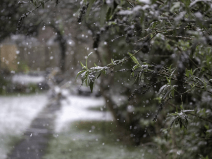 Погода в Хабаровском крае: похолодание на выходных