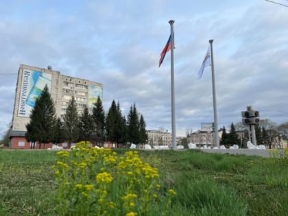 «Вот такой высоты»: как жителей Биробиджана ошарашили новой «локацией»