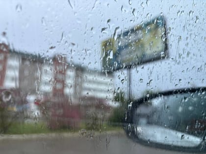 Пасмурно и с дождём будет в области – прогноз погоды в ЕАО на 22 мая