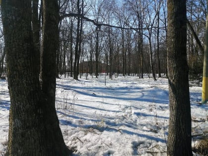 Пасмурный день ожидает районы автономии – прогноз погоды в ЕАО на 30 марта