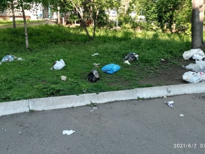 С 11 января дорожные камеры будут фиксировать выброс мусора из автомобиля