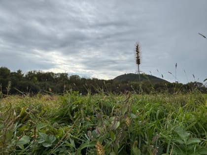 Погода в Биробиджане: переменная облачность и тепло