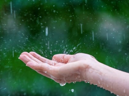 Ждать ли дождей: о погоде в мае рассказали жителям ЕАО