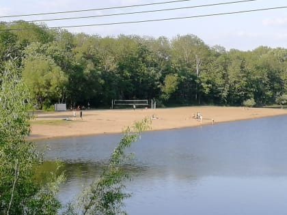 Переменная облачность пройдёт в районах автономии — прогноз погоды в ЕАО на 16 июня