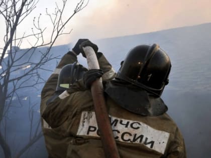 Женщина обокрала пожарного, спасшего ее из горящего дома